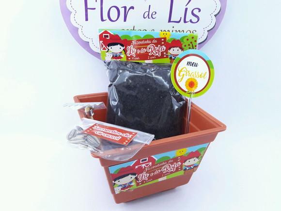 Kit Plantio Fazendinha Jardinagem