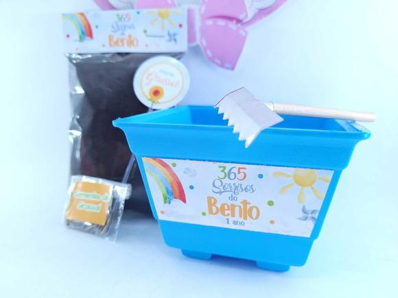 Kit Plantio Girassol 365 Sorrisos Primeira Volta ao Sol