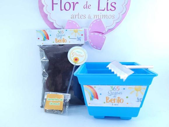 Kit Plantio Girassol 365 Sorrisos Primeira Volta ao Sol
