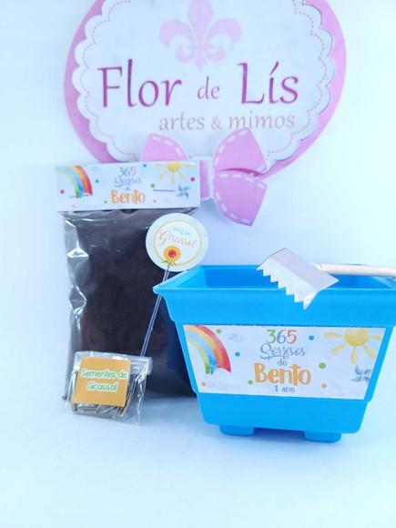 Kit Plantio Girassol 365 Sorrisos Primeira Volta ao Sol