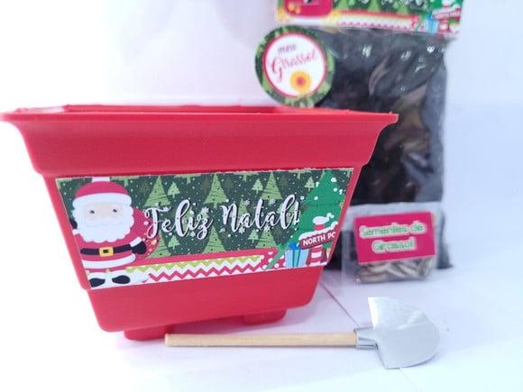 Kit Plantio Jardinagem Ecológico Brinde de Natal