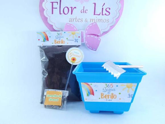 Kit Plantio Girassol 365 Sorrisos Primeira Volta ao Sol
