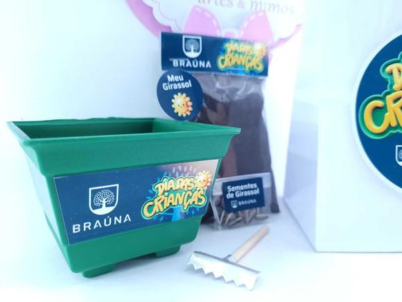 Kit Plantio Lembrancinha Dia das Crianças com Sacola Empresa