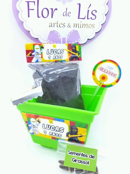 Kit Plantio Personalizado Lego Ninja Go