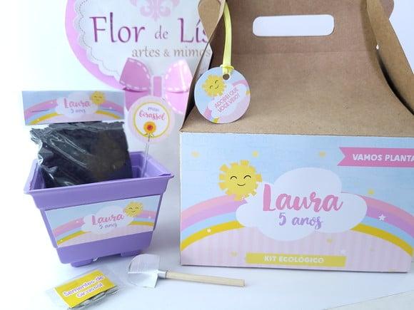 Kit Vamos Plantar na Maleta Arco Íris e Raio de Sol Caixinha