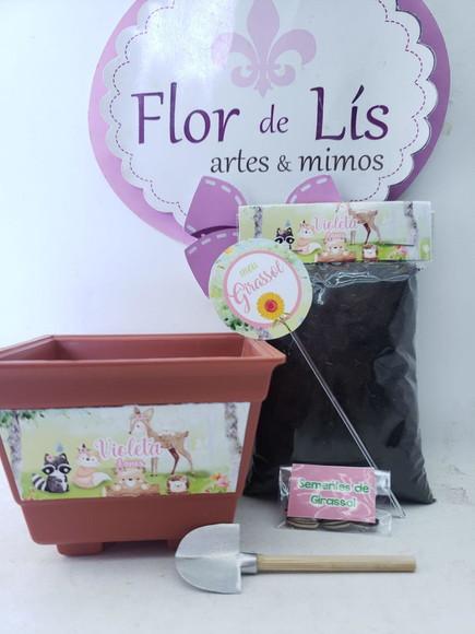 Lembrancinha Kit Bosque Encantado Menina Plantar com Vasor