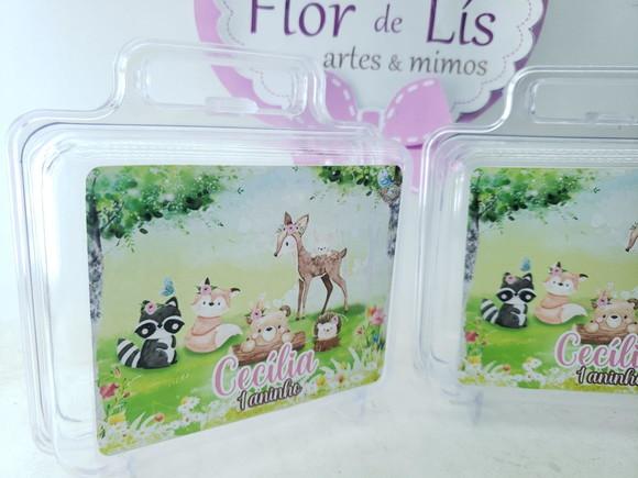 Maletinha Acrílica Personalizada Bosque Encantado Menina