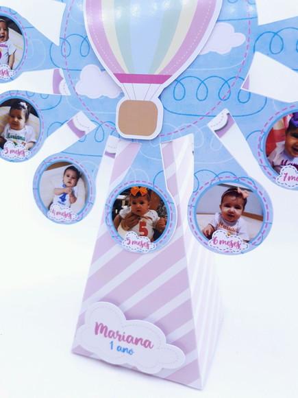 Roda Gigante Balão Rosa Menina Mês a Mês