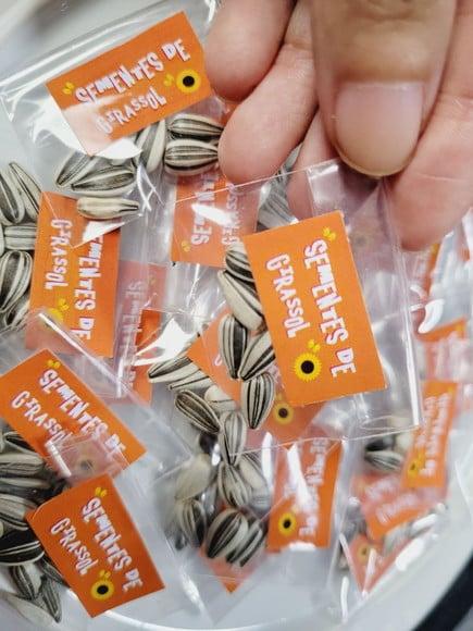 Sementes de Girassol para Kits Plantação Fazendinha