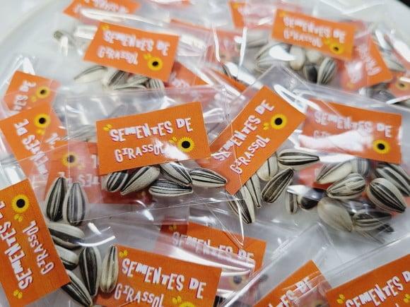 Sementes de Girassol para Kits Plantação Fazendinha