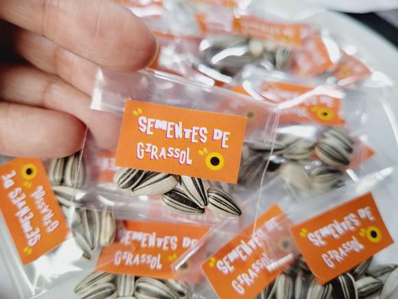 Sementes de Girassol para Kits Plantação Fazendinha