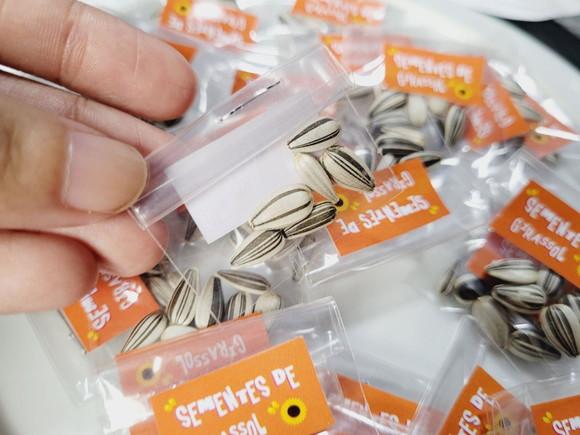 Sementes de Girassol para Kits Plantação Fazendinha