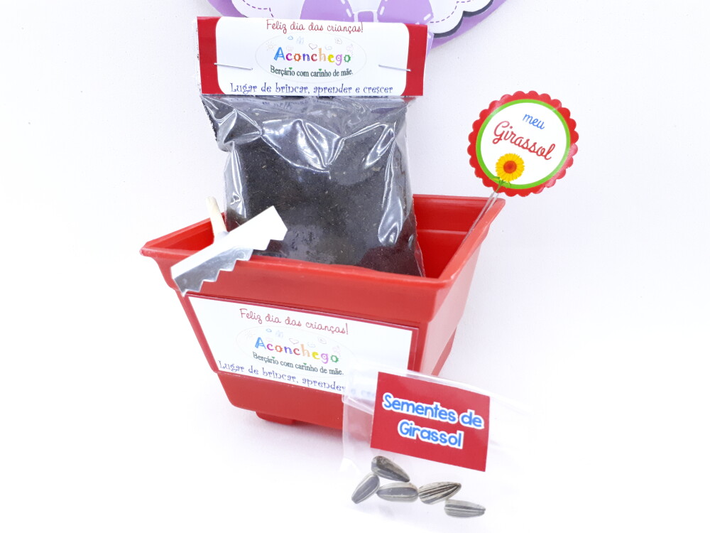 Kit Plantação Educativo Ecológico Brinde Dia das Crianças