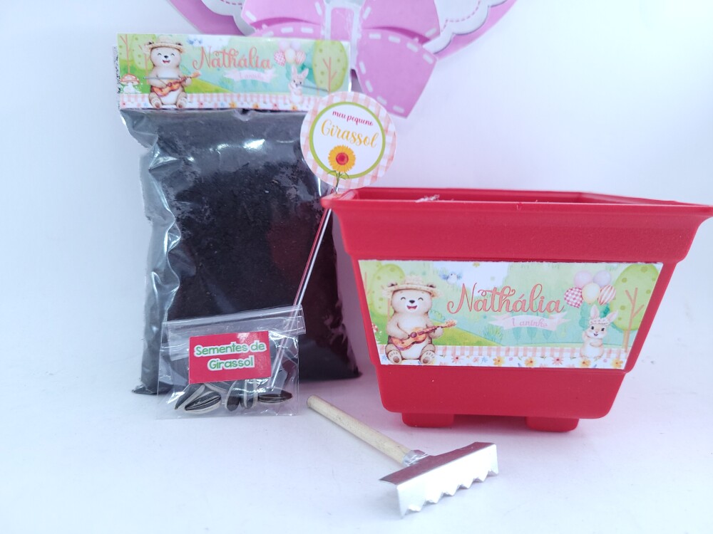 Kit Jardim Encantado Menina Plantio Ecológico