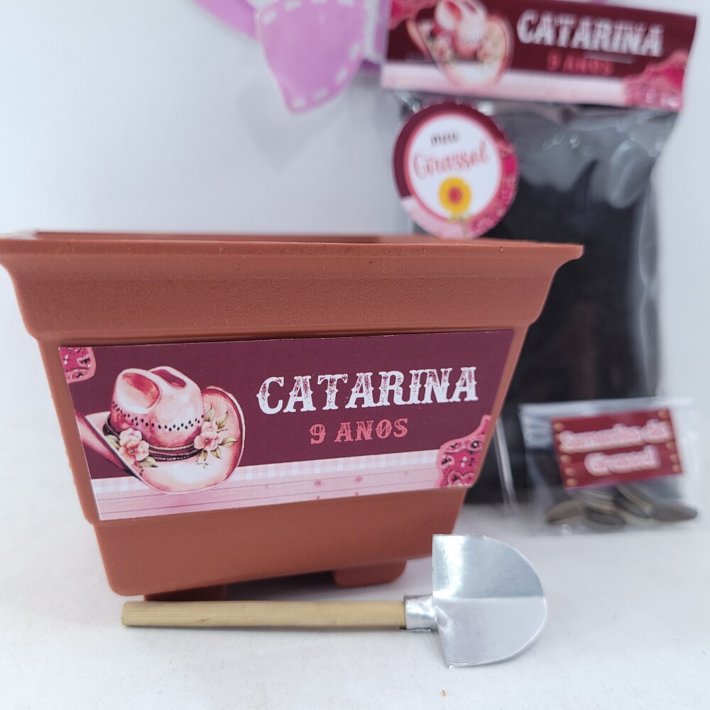 Kit Plantação Lembrancinha Personalizada Boiadeira Festa Fazend