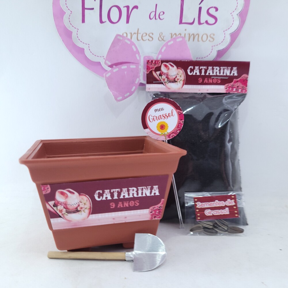 Kit Plantação Lembrancinha Personalizada Boiadeira Festa Fazend