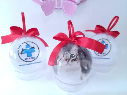 Bola de Natal Empresa com Logo e Foto do Seu Pet