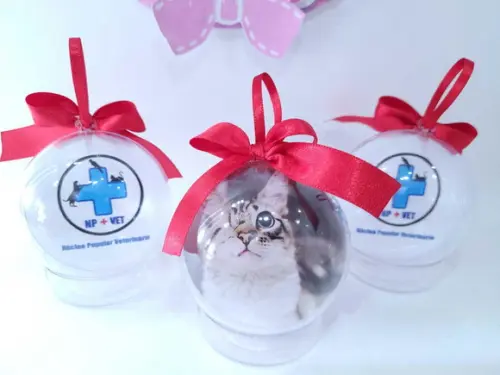 Bola de Natal Empresa com Logo e Foto do Seu Pet