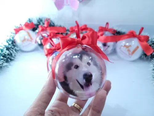 Bola de Natal Personalizada com Foto do Seu Pet