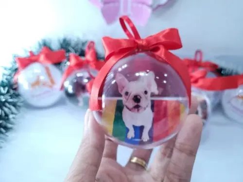 Bolinha de Árvore de Natal Pet Personalizada com Foto