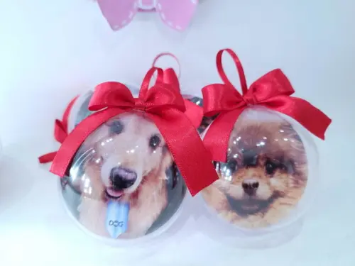 Bolinha de Natal com Foto Pet