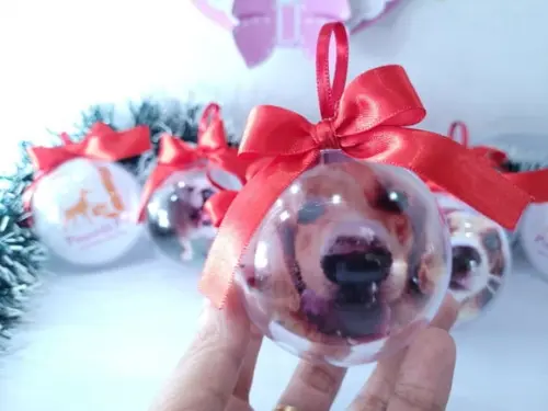 Bolinha de Natal Pet Personalizada com Foto