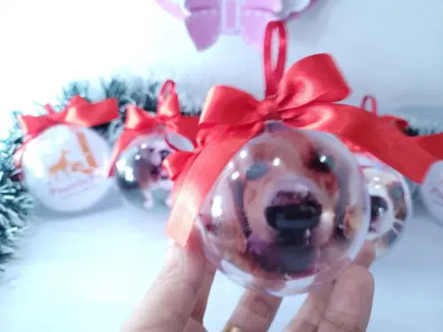 Bolinha de Natal Pet Personalizada com Foto