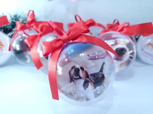 Bolinha de Natal Pet Personalizada com Foto do Seu Bichinho