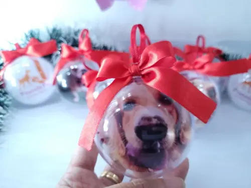 Bolinha de Natal Pet Personalizada com Foto