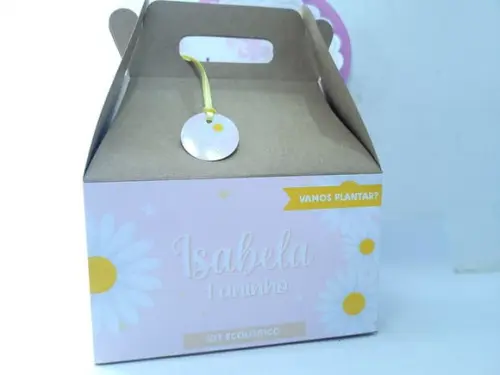 Caixa Lanche Jardim das Margaridas Maleta Grande