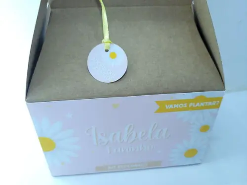 Caixa Lanche Jardim das Margaridas Maleta Grande