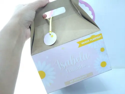 Caixa Lanche Jardim das Margaridas Maleta Grande