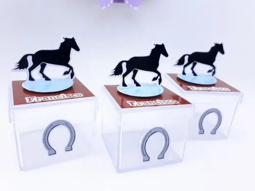 Caixinha Acrílica Cavalo Haras 5cm