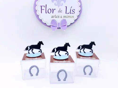 Caixinha Acrílica Cavalo Haras 5cm