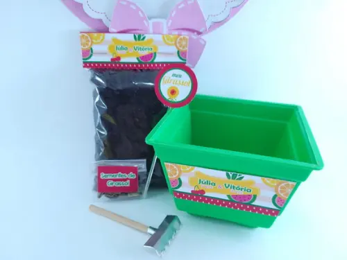 Kit Ecológ Plantação Festa Quitandinha Lembrancinha Frutaria