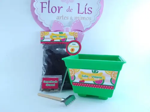 Kit Ecológ Plantação Festa Quitandinha Lembrancinha Frutaria