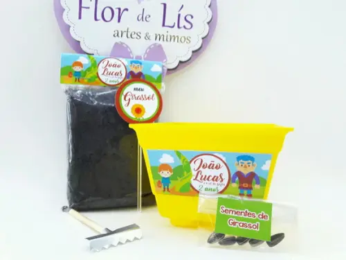 Kit Ecológico Lúdico João e o Pé de Feijão para Escola