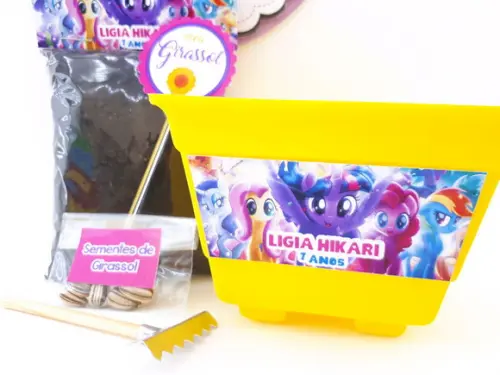 Kit Ecológico My Little Pony Lembrancinha