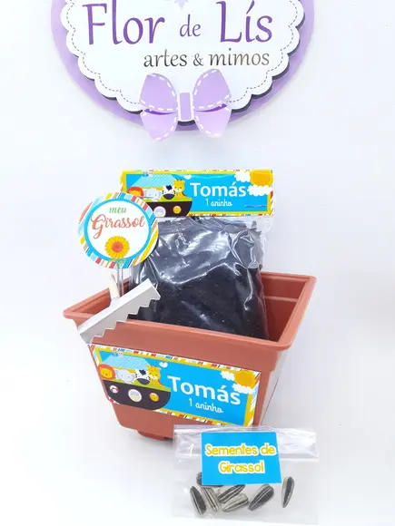 Kit Ecológico Plantação Arca de Noé