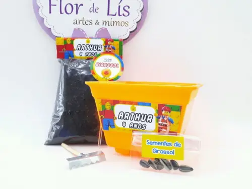 Kit Ecológico Plantação Lego