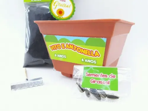 Kit Ecológico Plantação sem Tema