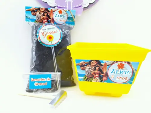 Kit Ecológico Plantio Lembrancinha Moana