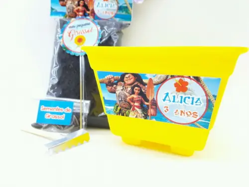 Kit Ecológico Plantio Lembrancinha Moana