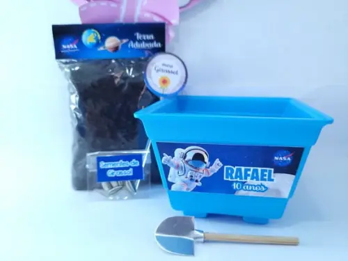 Kit Jardim Astronauta Nasa Personalizado Plantio