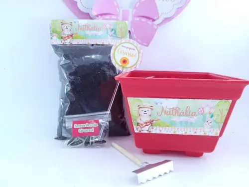 Kit Jardim Encantado Menina Plantio Ecológico