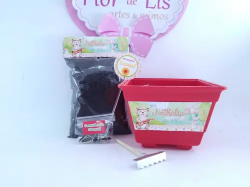 Kit Jardim Encantado Menina Plantio Ecológico