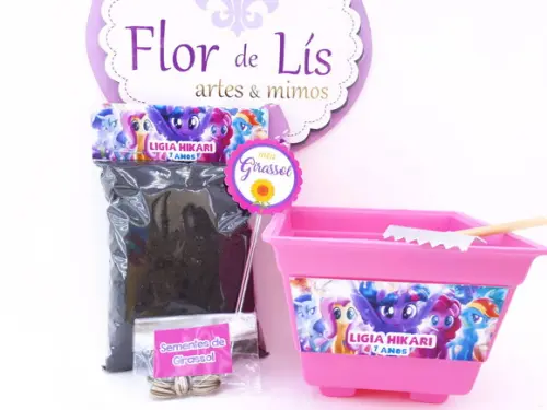Kit Jardim Lembrancinha My Little Pony