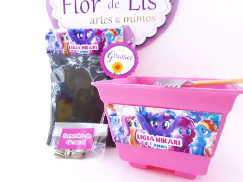 Kit Jardim Lembrancinha My Little Pony
