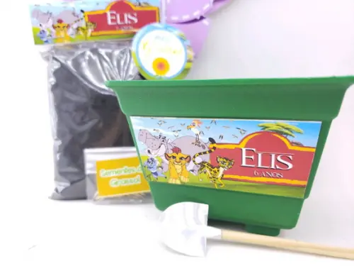Kit Jardim Plantação Guarda do Leão