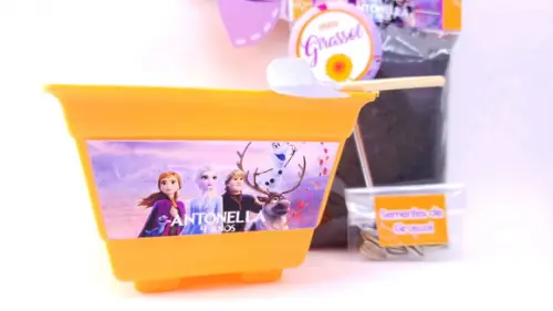 Kit Jardim Plantação Frozen 2
